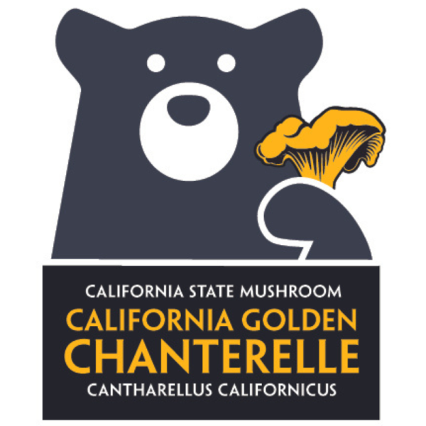 California Golden Chanterelle