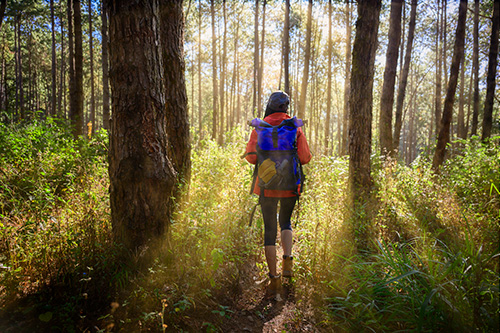 Woman wearing backpack walking through forest trail during the morning.