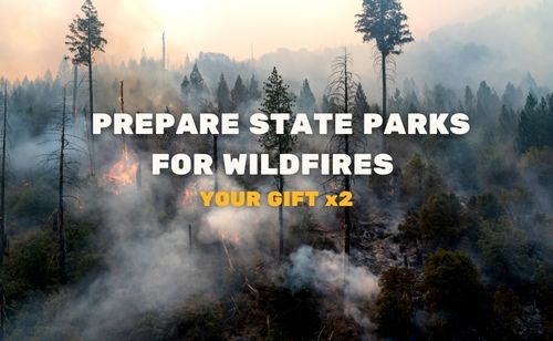 Prepare state parks for wildfires. Your gift x2!