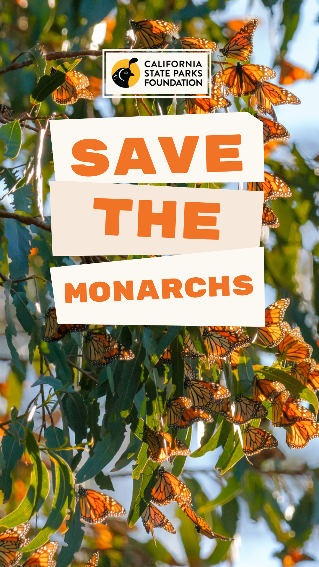Protect the Monarchs