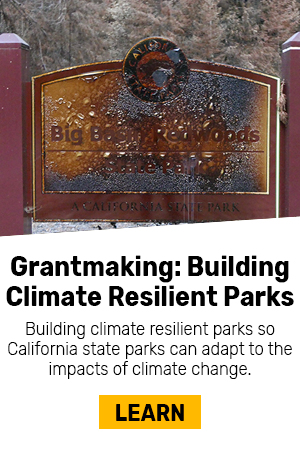 California state parks western monarchs