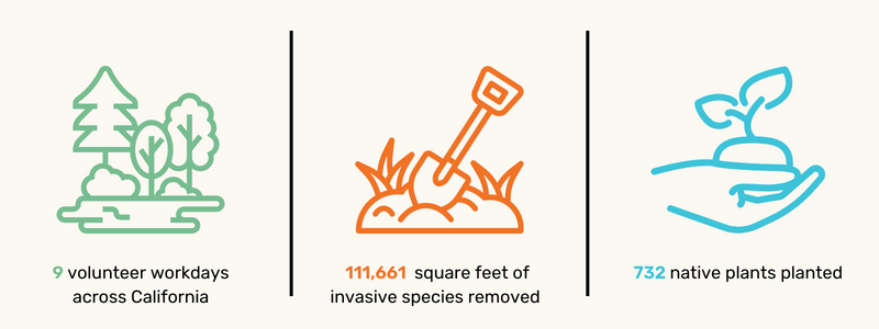 November Workday Impacts: 9 workdays throughout the month; 111,661 square feet of invasive species removed; 732 native plants planted 