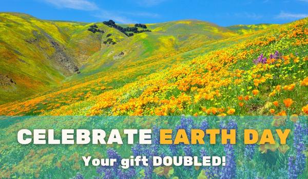 Earth Day 2023