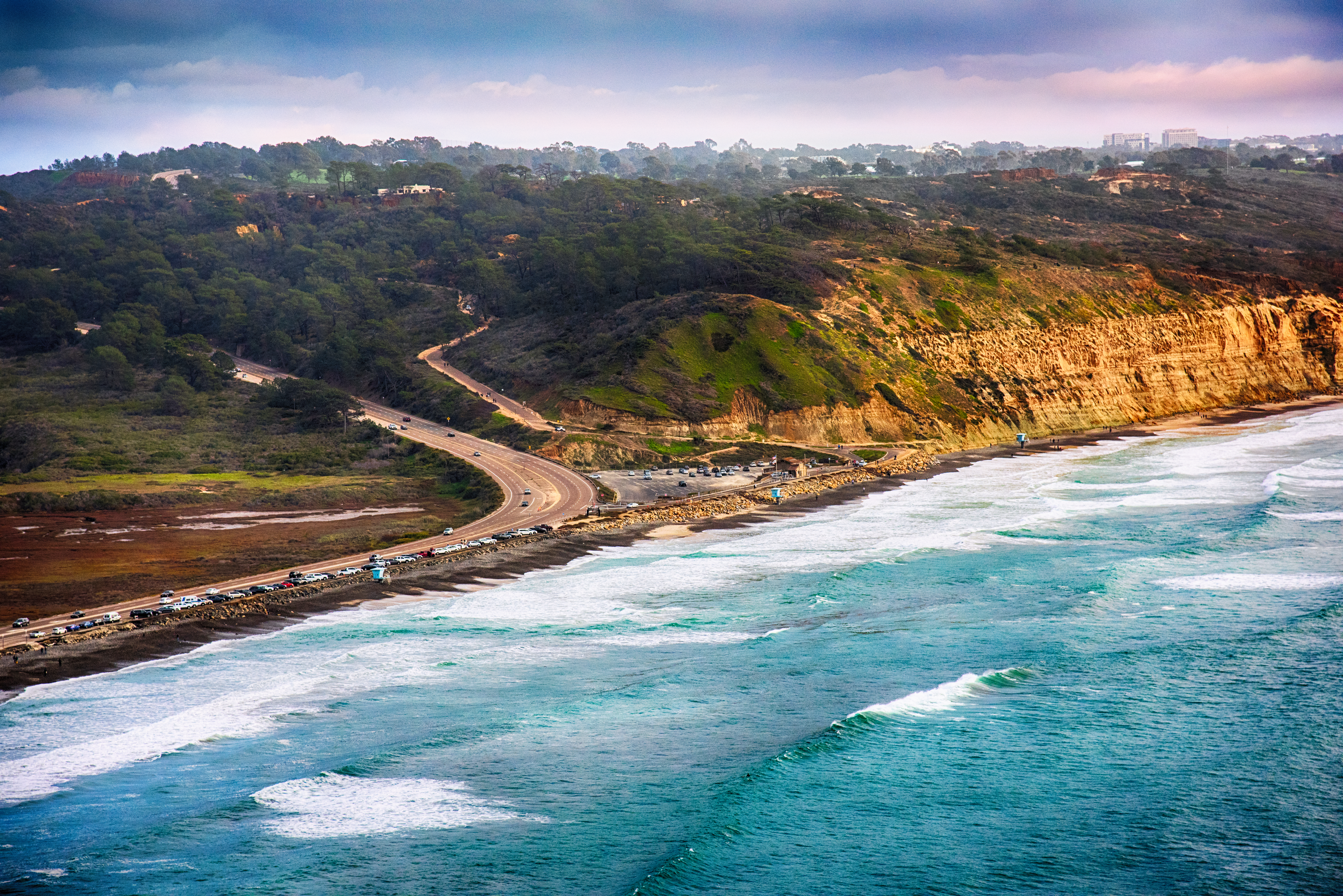 Torrey Pines State Beach