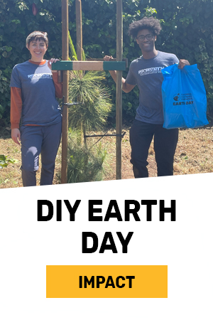DIY Earth Day