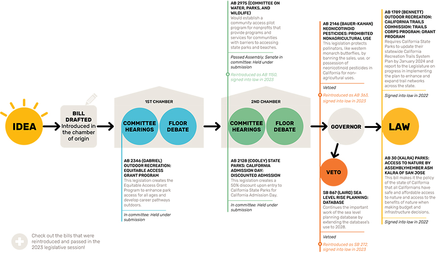 Legislative Graphic