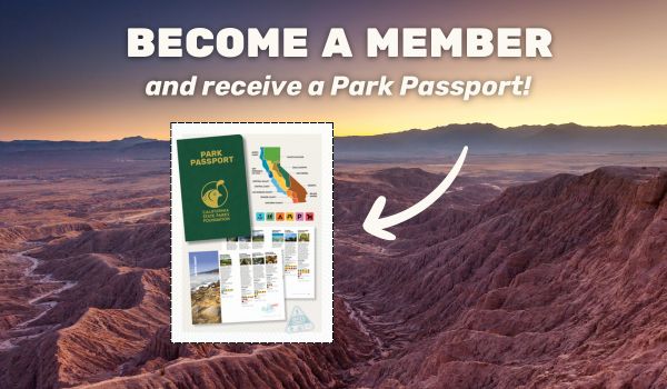 Membership Recuritment
