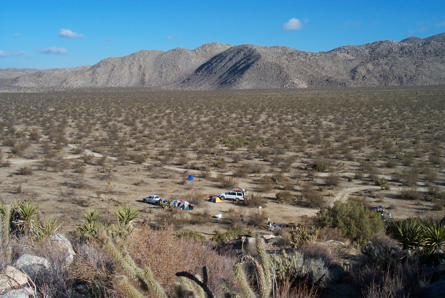 Overlooking view of Blair Valley's primitive campsite. Taken by Sue Mazingo. 