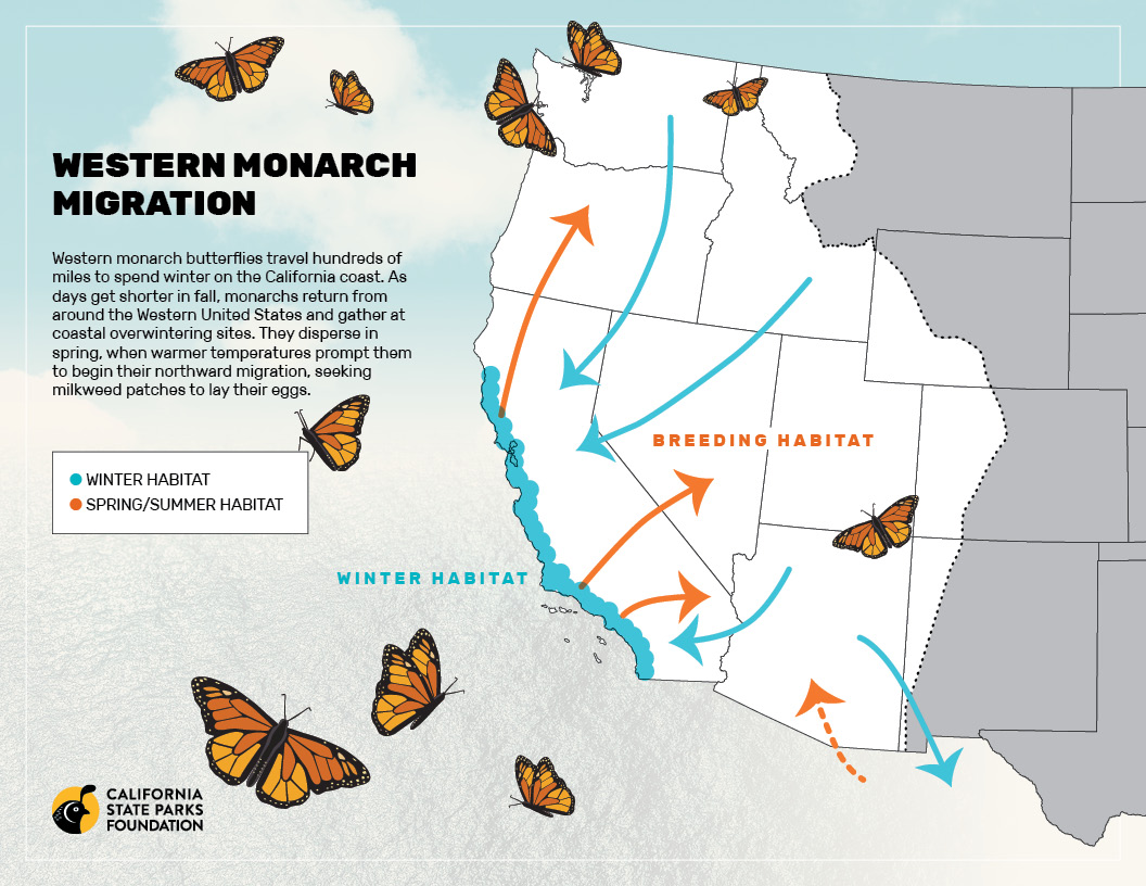 monarch butterfly travel map