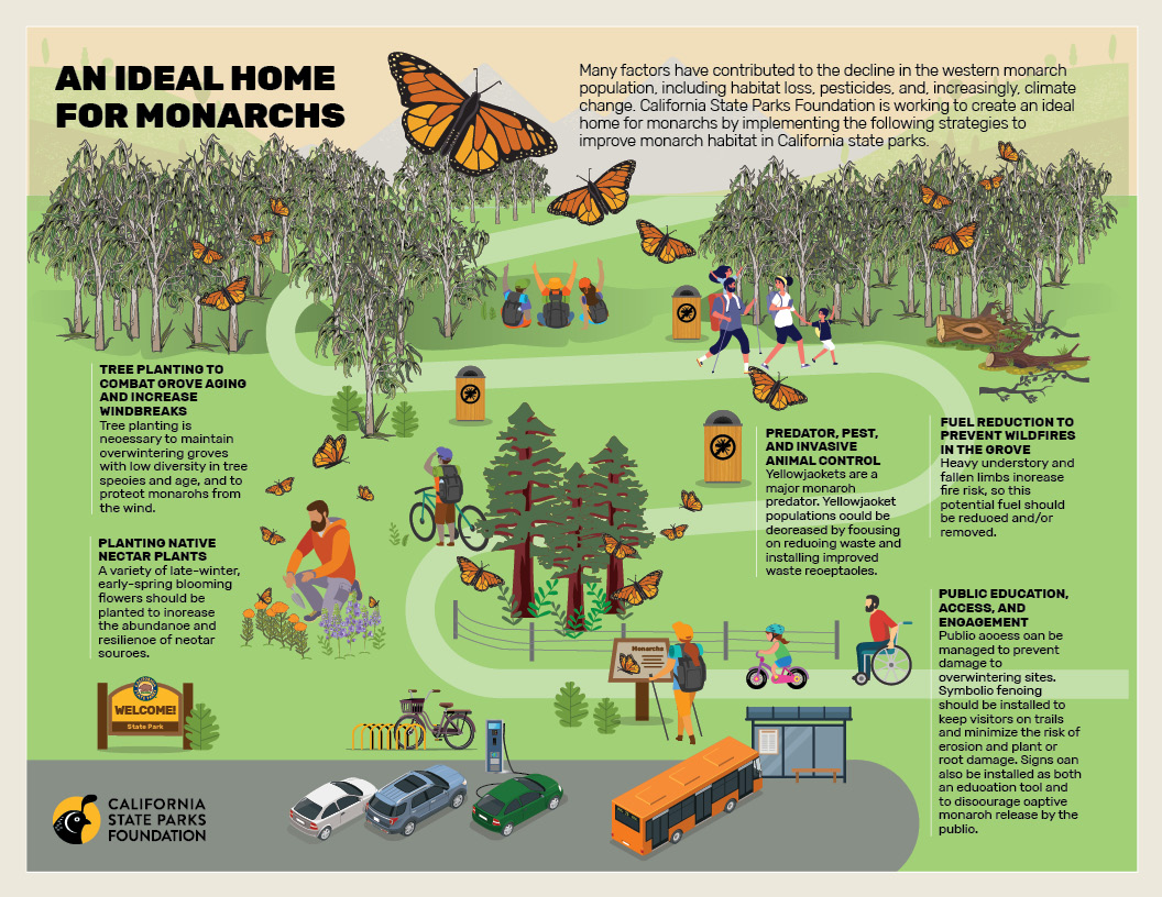 graphic of an ideal home for monarchs
