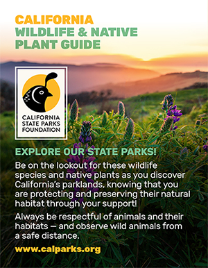 Wildlife and Plant Guide
