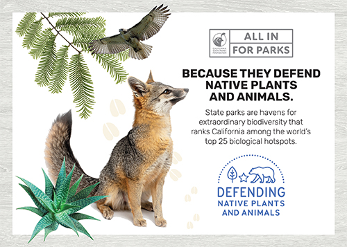 Defending Native Plants and Animals | Cal Parks
