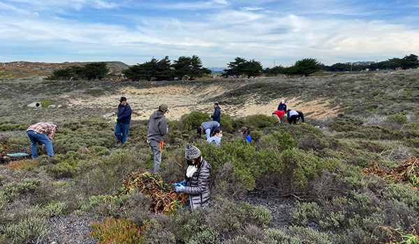 Volunteers at Fort Ord Dunes State Park