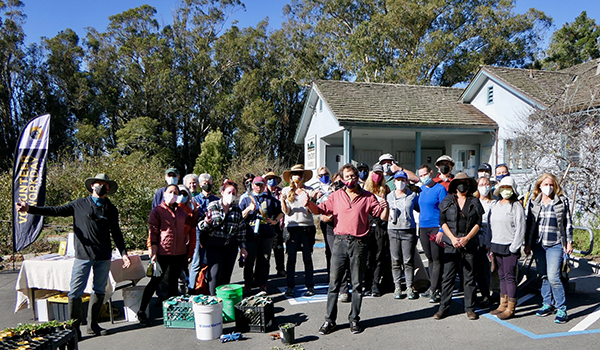 Volunteers at Natural Bridges State Beach for a Monarch workday. 