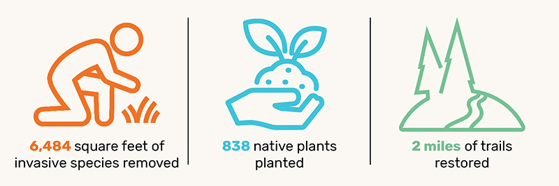 6,484 square feet of invasive species removed, 838 native plants planted, 2 miles of trails restored. 