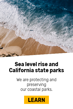 Sea Level Rise