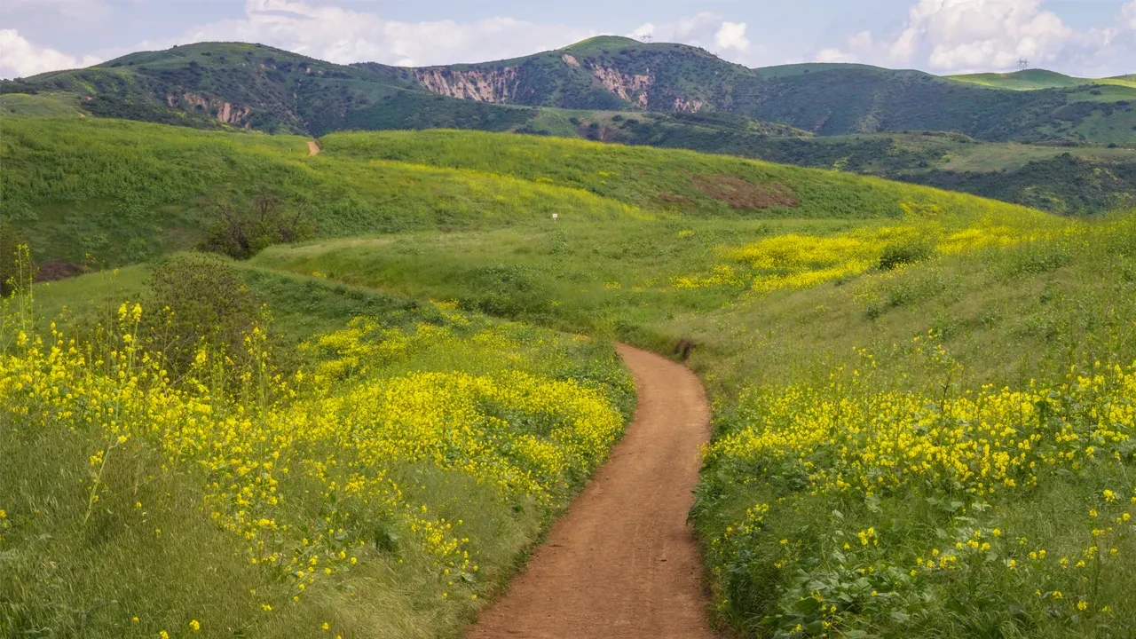 Chino Hills State Park Trail