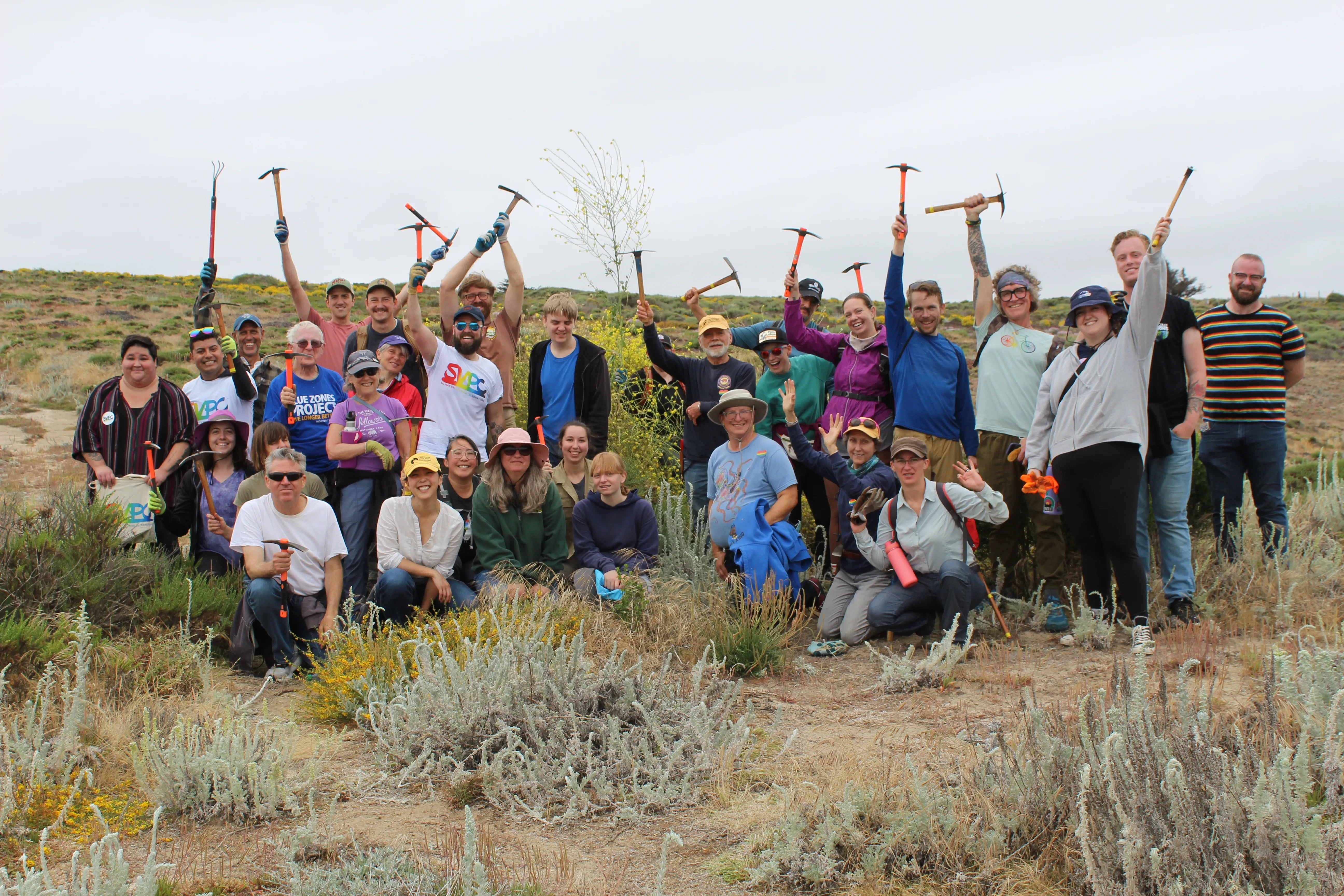Volunteers at Fort Ord Dunes State Park