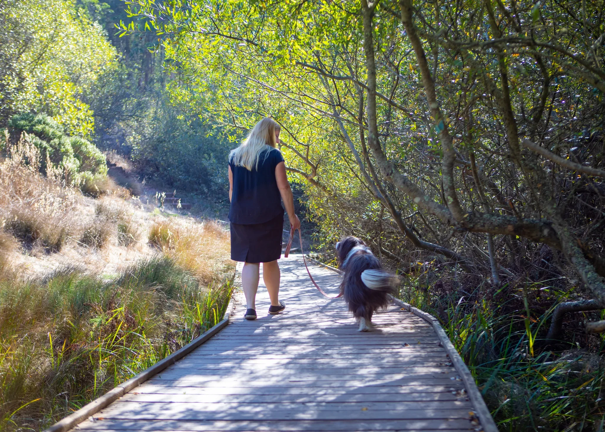 Dogs in CA State Parks