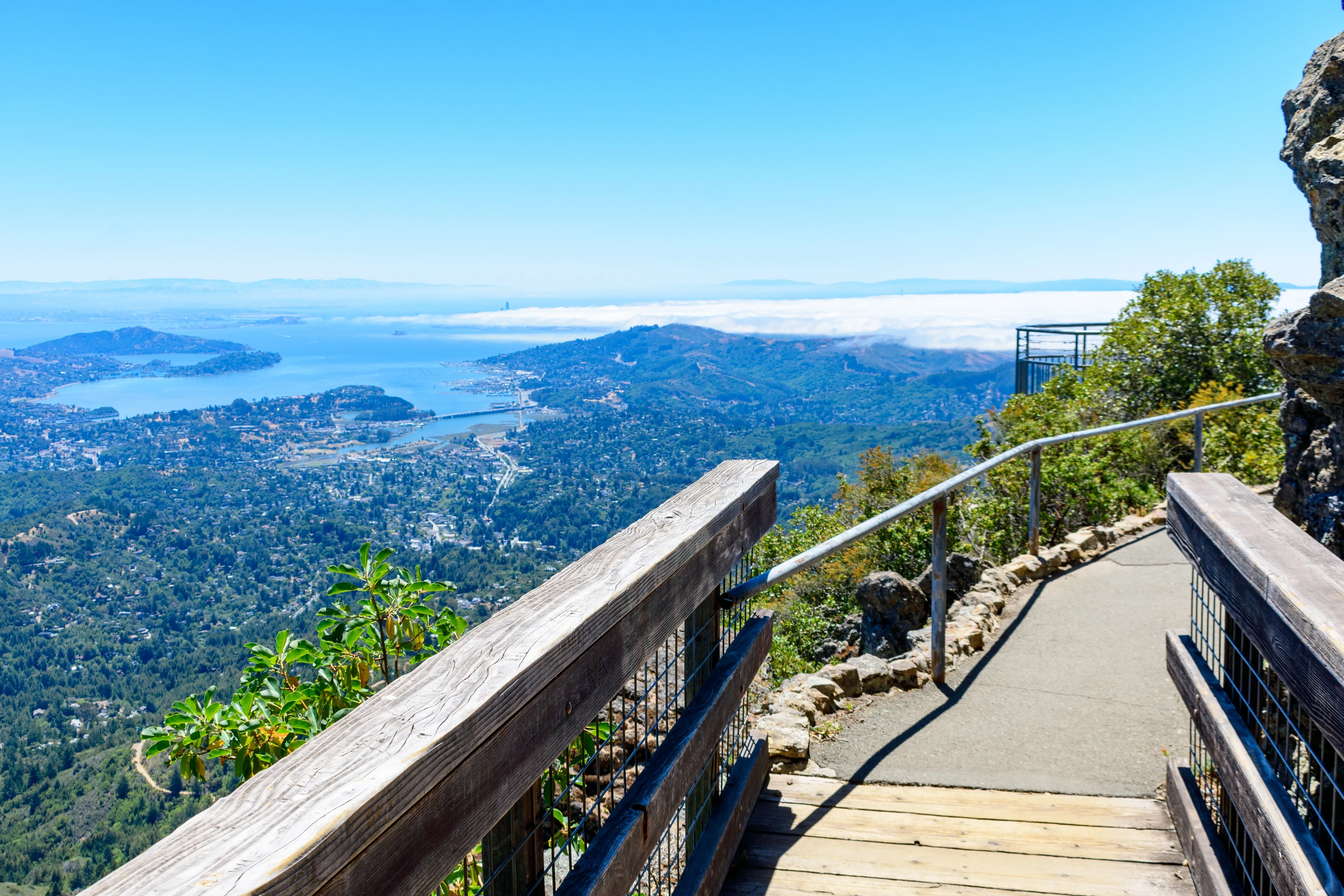 Mt Tam