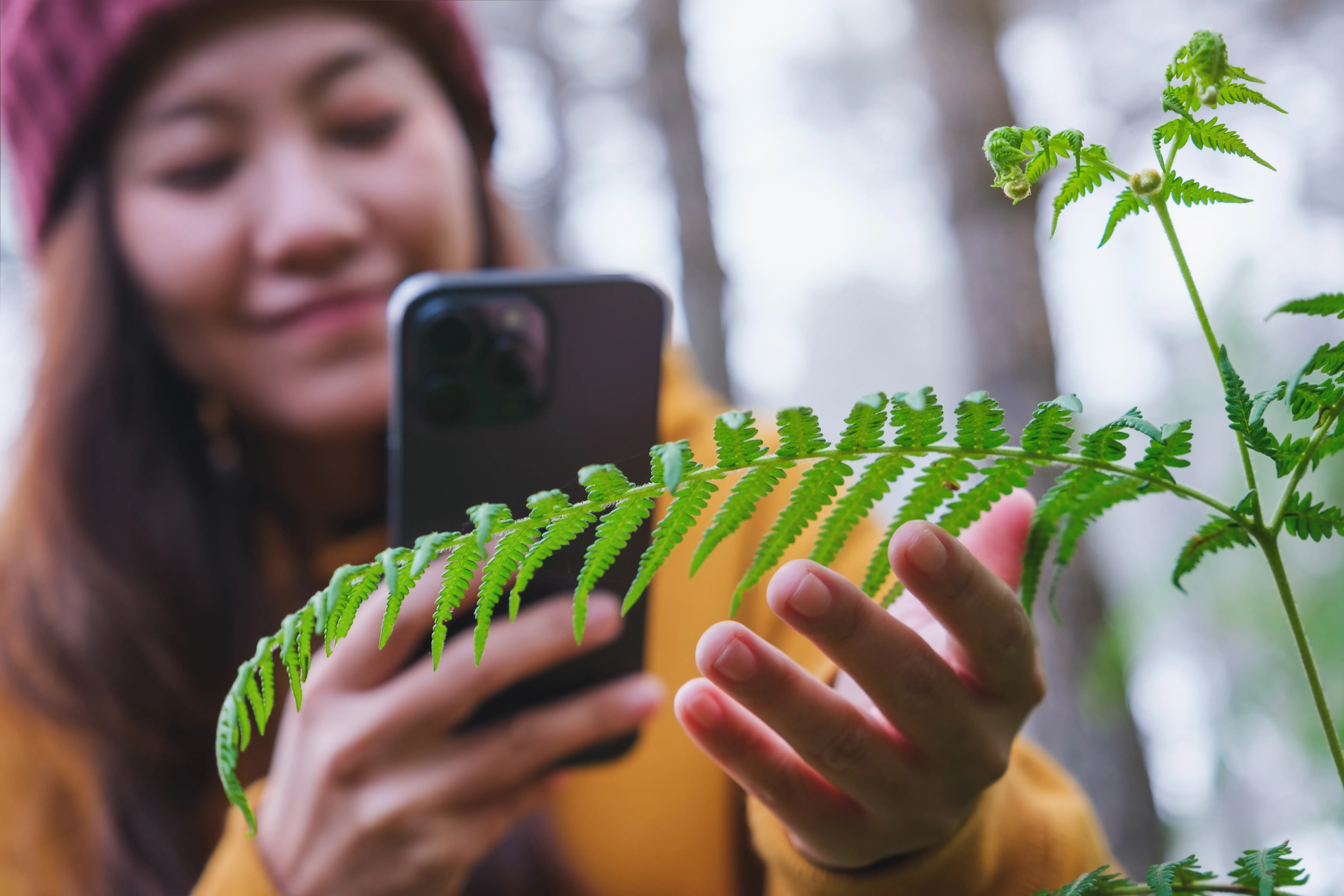 Woman taking picture of plant in the forest.