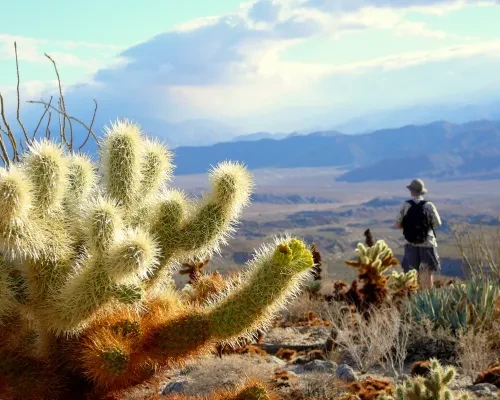 Anza Borrego Person 