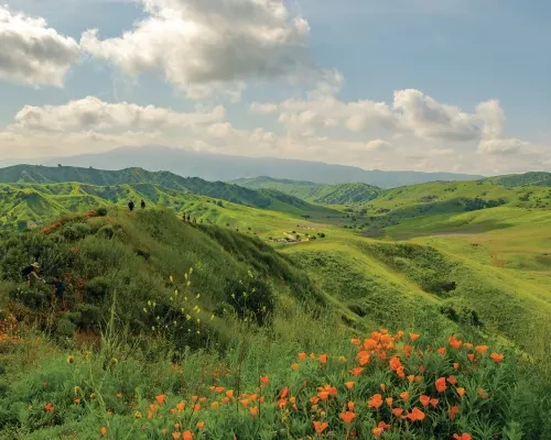 Chino Hills State Park