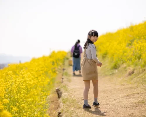 Young girl on wildflower trail