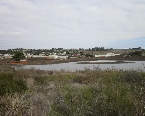 Yosemite Slough South Vista 