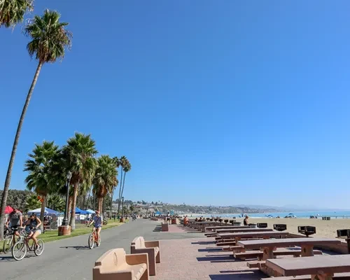 Doheny State beach