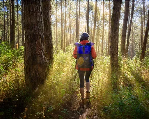 Woman wearing backpack walking through forest trail during the morning.
