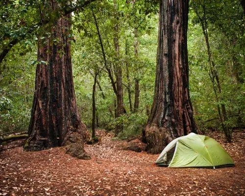 Camping