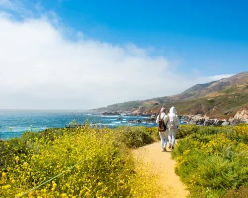 Garrapata State Park
