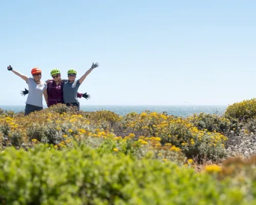 CA coast women celebrating resize_stock.jpg