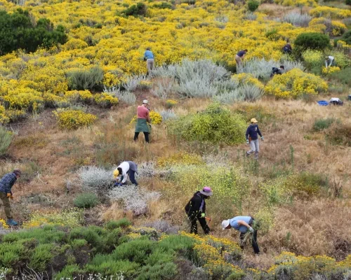 Fort Ord Dunes State Park