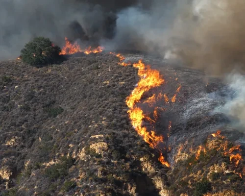 Palisades Fire 2025