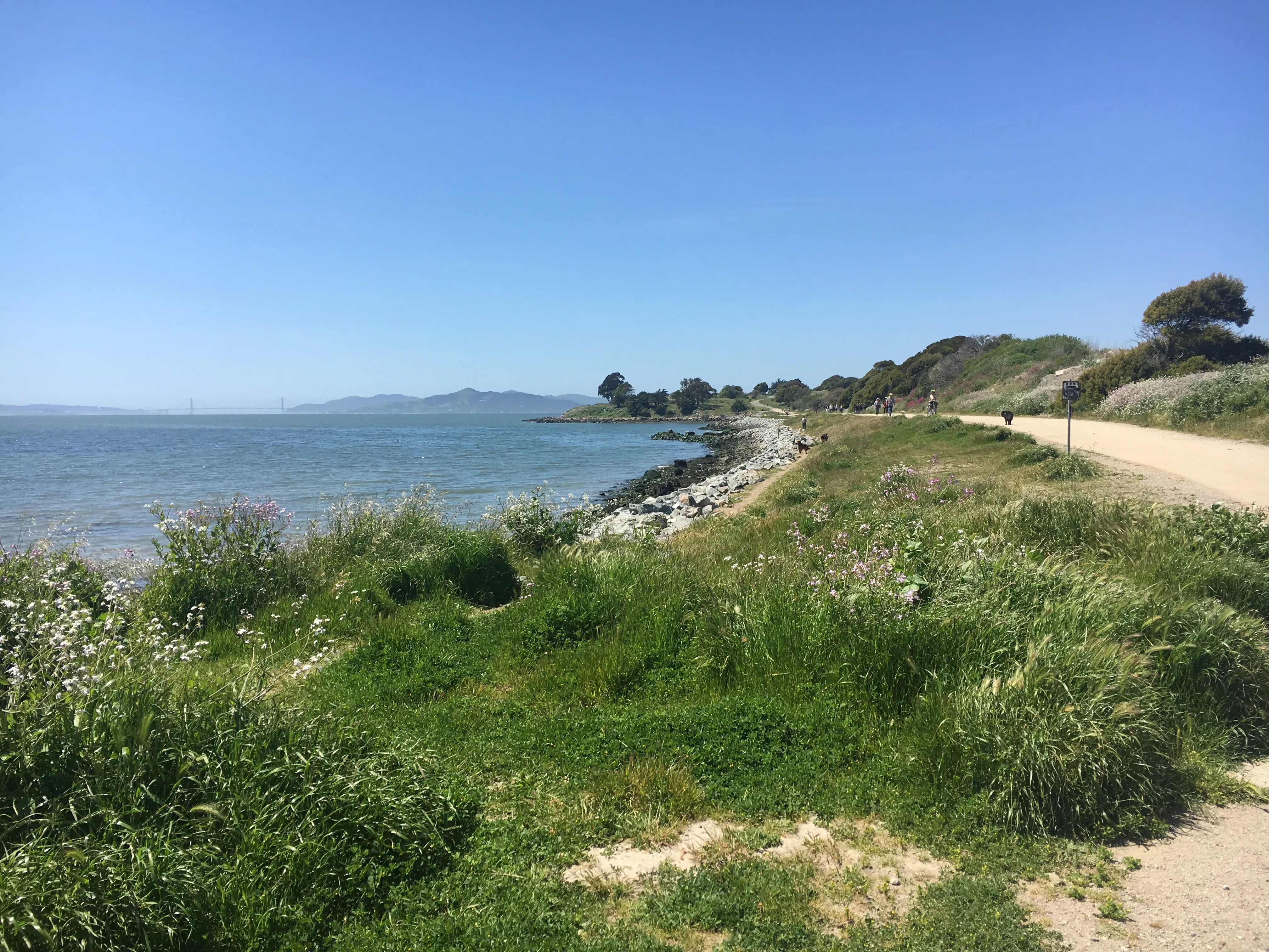 Albany bulb