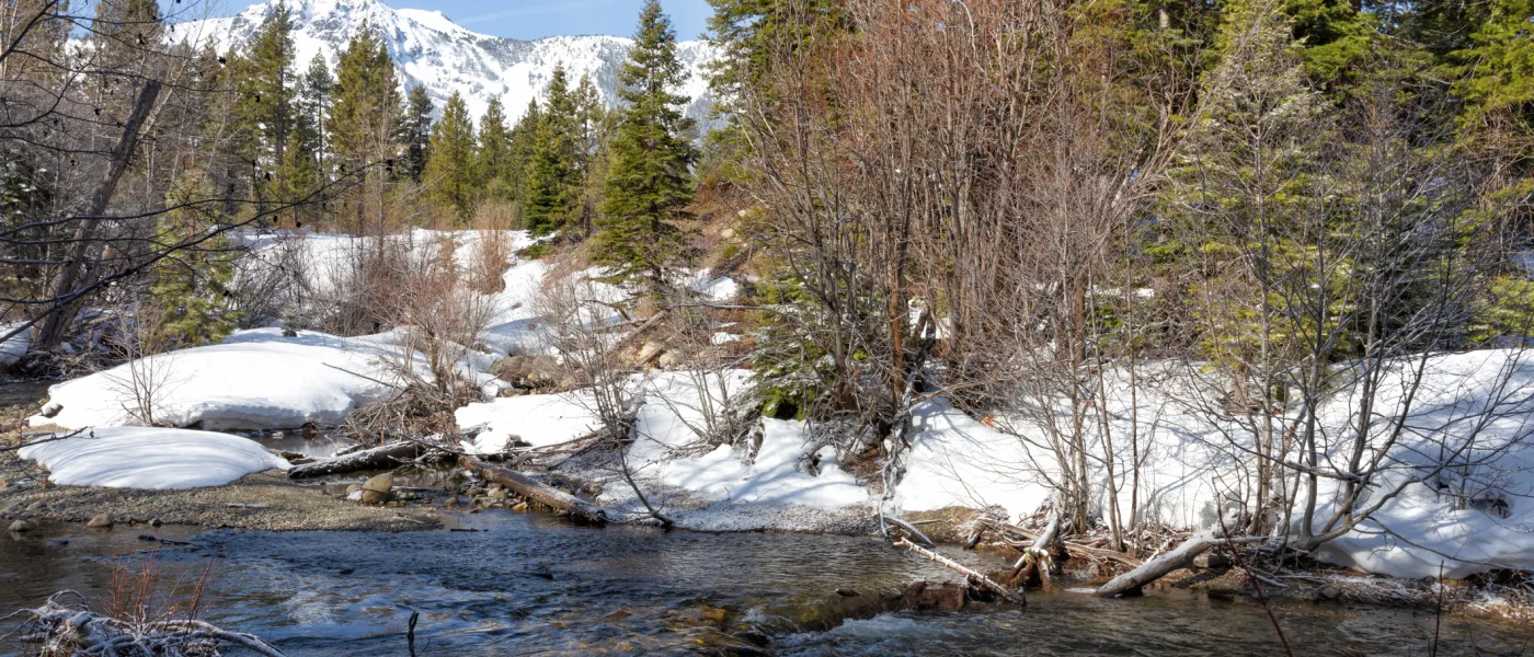 Taylor Creek, one of California’s 18 designated SNO-Parks.