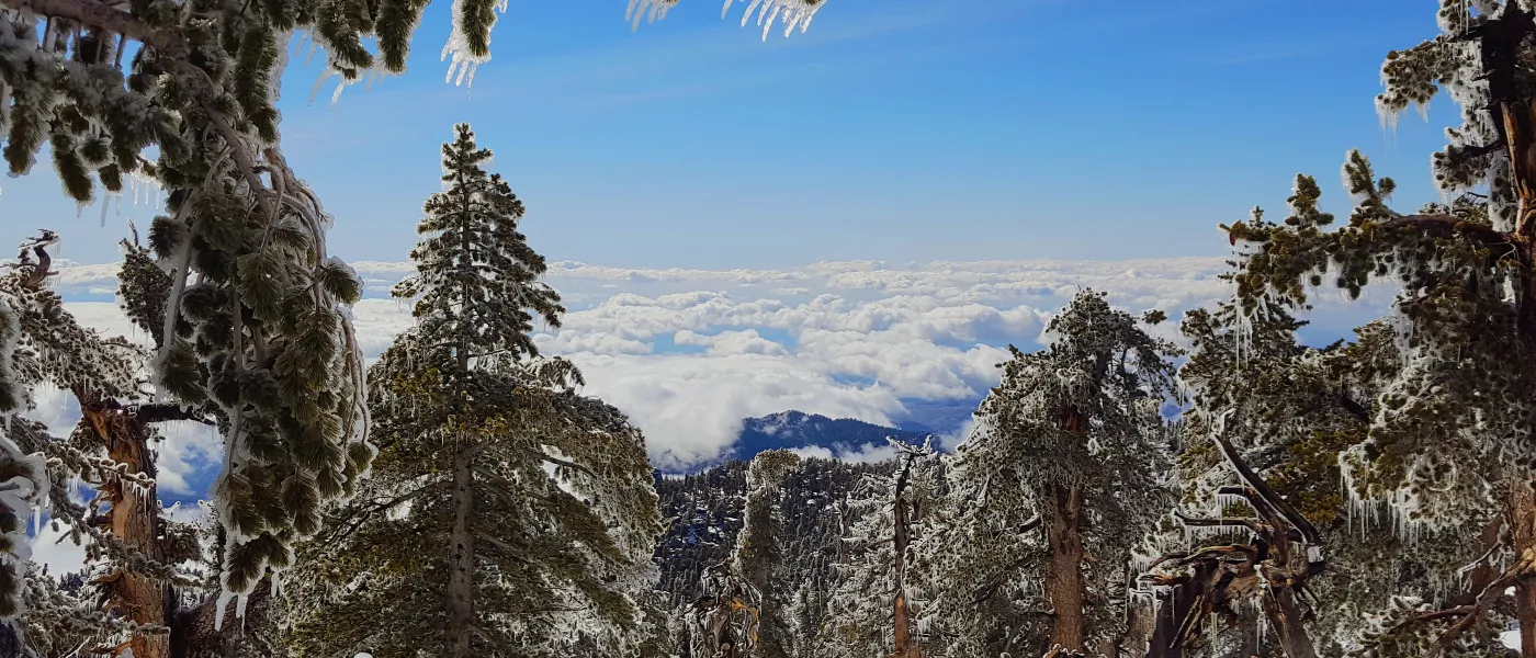 Mount San Jacinto State Park in the winter. 