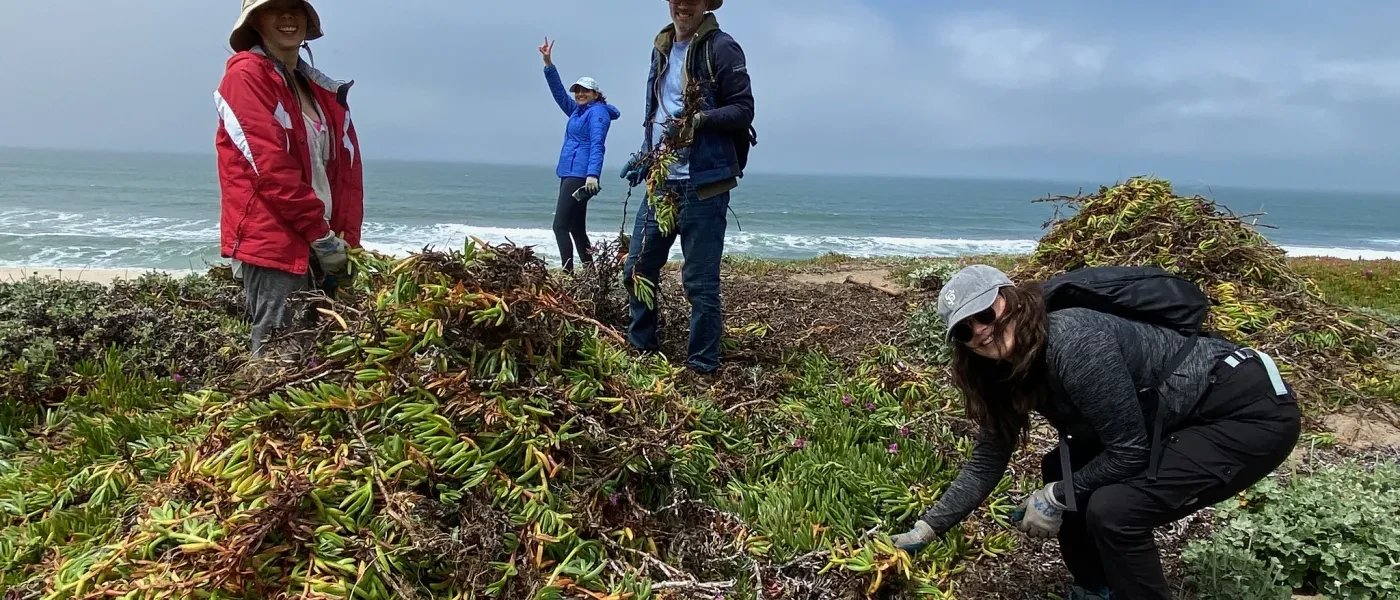 Half Moon Bay State Beach