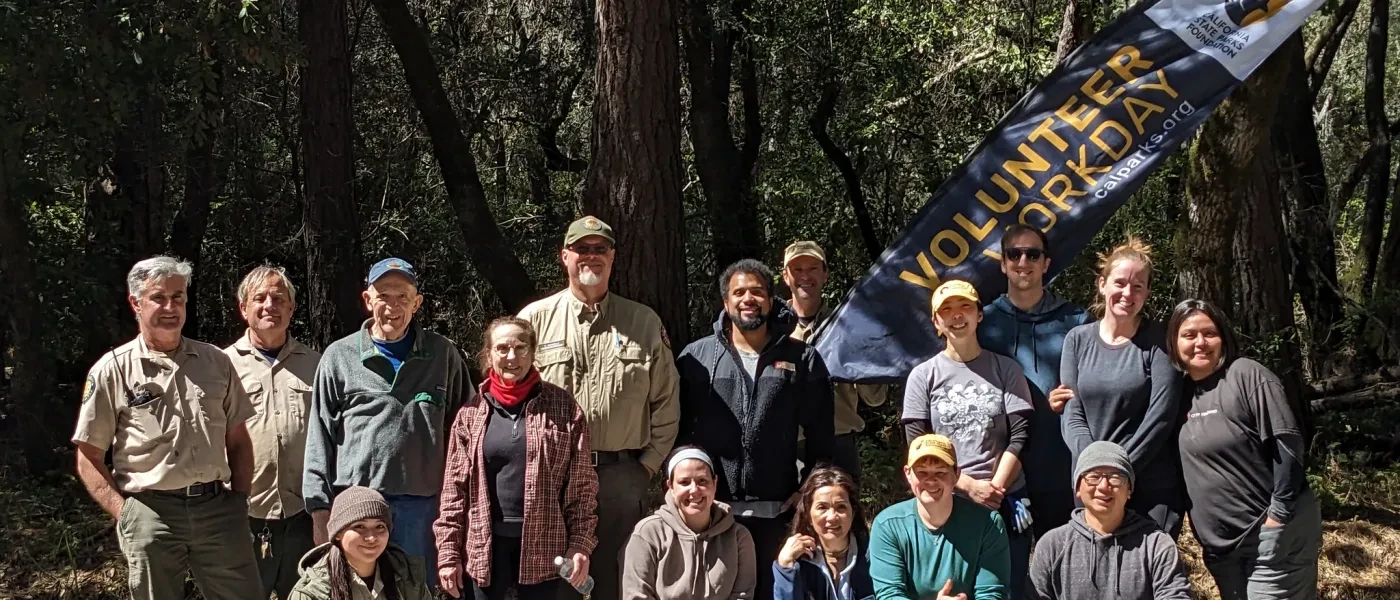 Henry Cowell Redwoods State Park