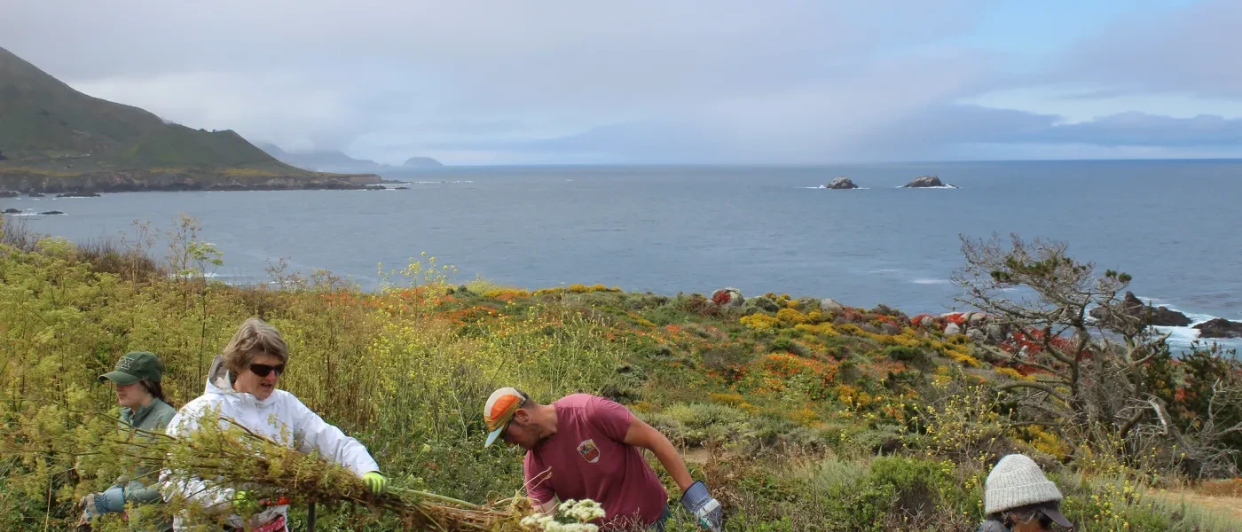 Garrapata State Park