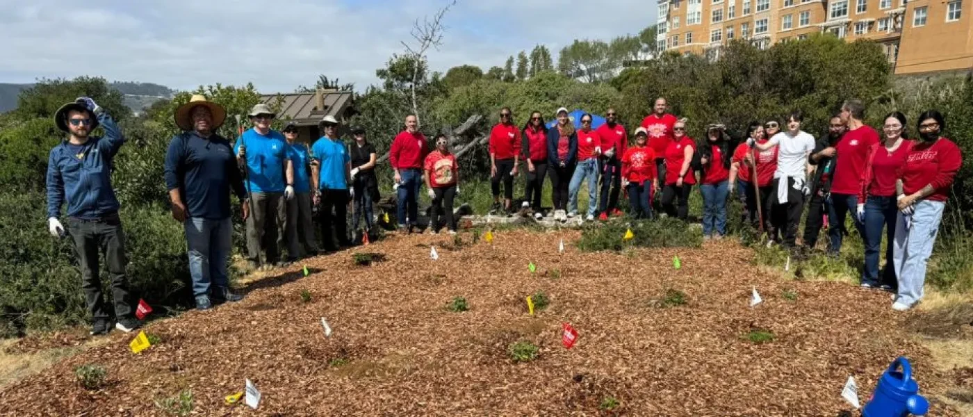 Volunteers