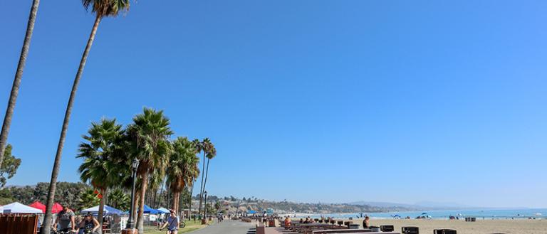Doheny State beach