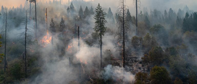 Caldore Fire