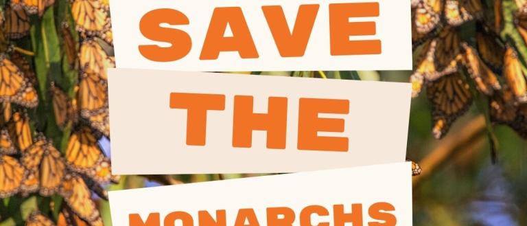 Save the Monarchs