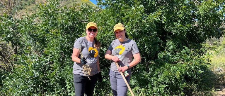 Volunteer Core Leaders