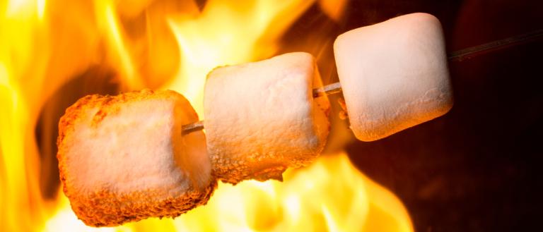National Toasted Marshmallow Day