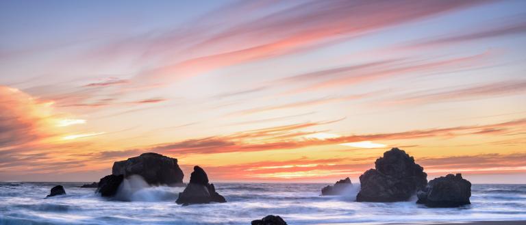 Sonoma Coast State Park
