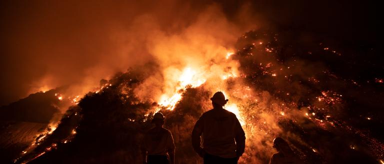 Wildfire